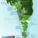Bản đồ Phú Quốc định hướng đến năm 2030